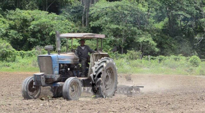 Muchos de los trabajadores del campo no están amparados por el IVSS