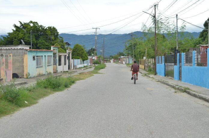 En las partes donde hay zanjas ha salido mucho monte