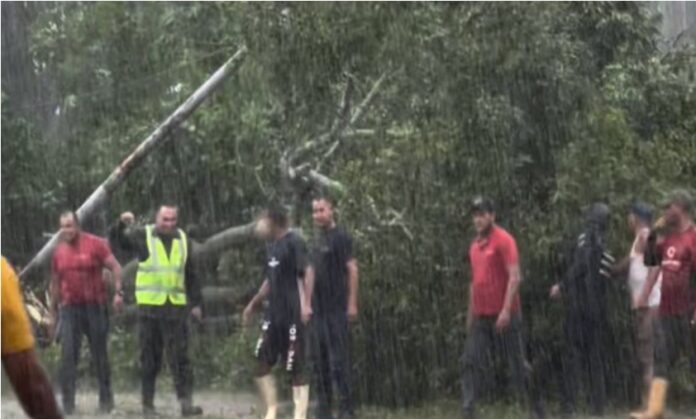 Esta imagen aparentemente es del árbol que cayó encima de los funcionarios