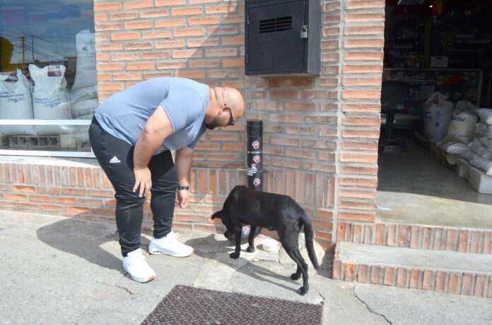 Un grupo de comerciantes de San Felipe ha unido esfuerzos para brindar alimento a los animalitos que no tienen hogar y que hacen vida en el centro de SanFelipe. El proyecto fue ideado por Manuel Hernández, quien con apoyo de una operadora de internet colocó los primeros comederos, ya cuentan con cuatro locales aliados.Piden que más comercios se unan