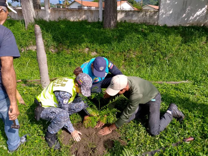 La idea es incentivar al ciudadano a realizar este tipo de actividades