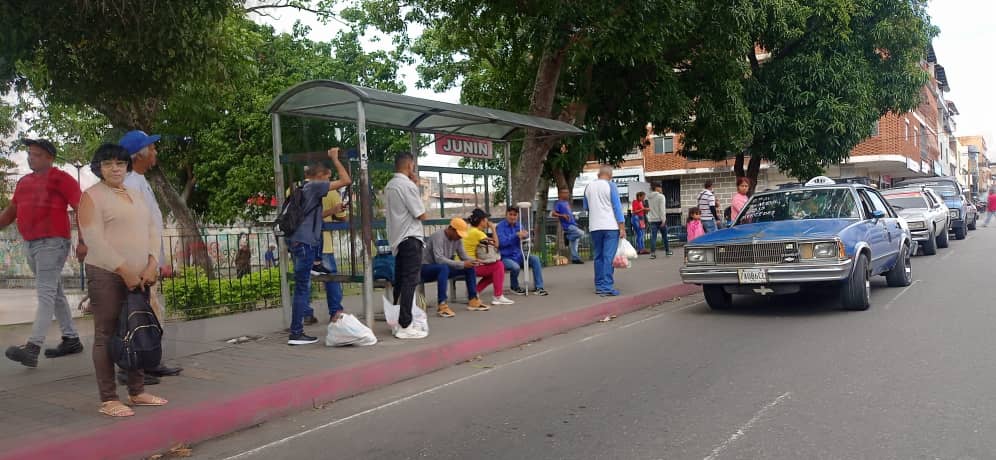 Comenzó a activarse el transporte colectivo 