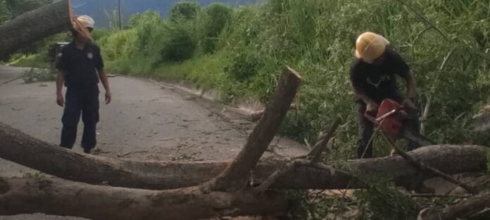 Algunas carreteras quedaron trancadas durante varias horas, en la Troncal 11 los vecinos despejaron la vía