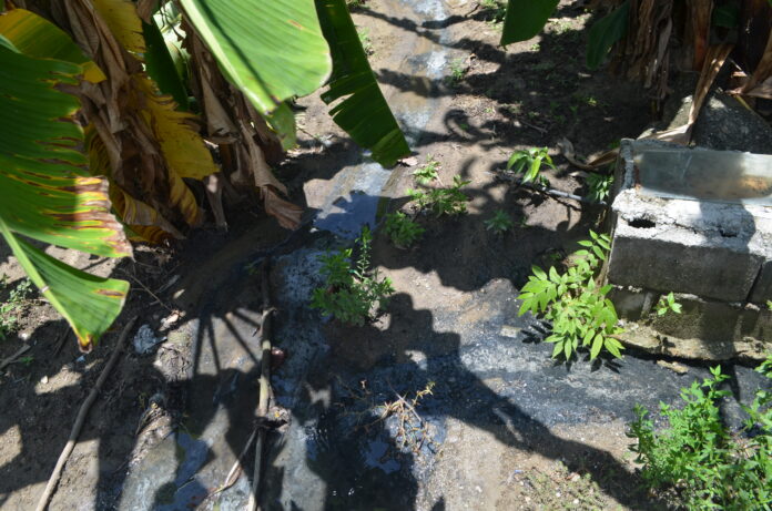 El agua contaminada se mente en varias casas