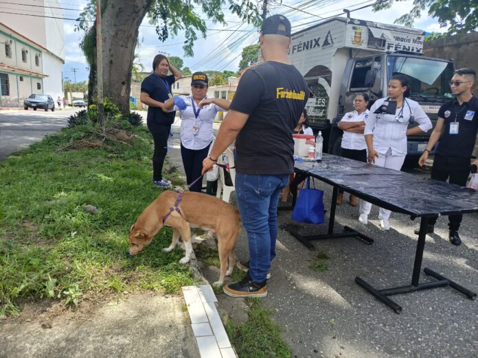 Durante la jornada fueron chequeadas y vacunadas las mascotas de esta urbanización