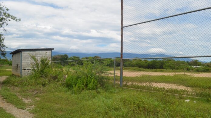 El monte se apodera del espacio deportivo