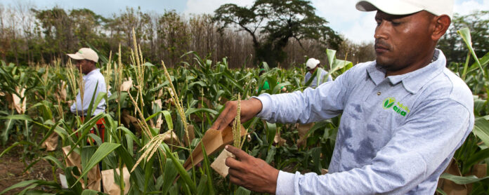 Fantinel resaltó que la dependencia de importaciones de agroinsumos es otro obstáculo significativo para el sector