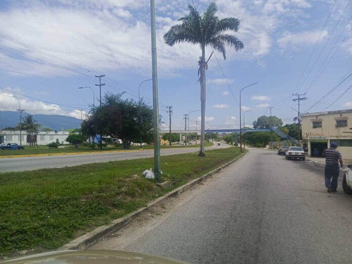 Sitio en el que se localizó el cadáver la mañana de este martes