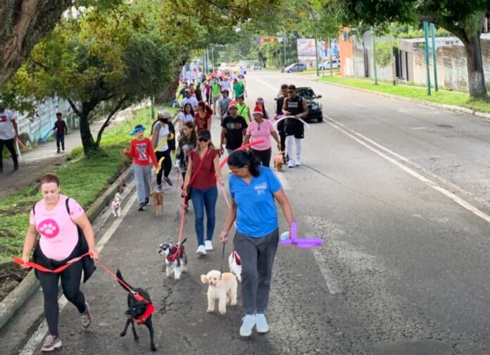 Es un recorrido corto a primera hora del día para evitar que los animalitos se vean afectados