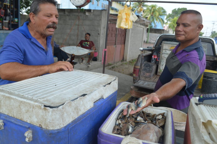 La presentación más buscada es en filet por lo fácil de preparar