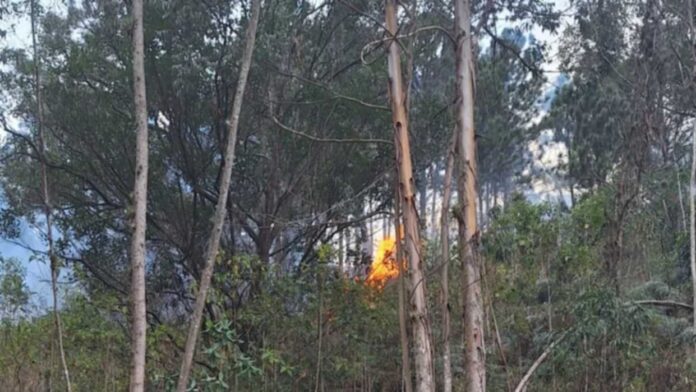 La avioneta, identificada como C550 con las siglas YV3561, se precipitó a tierra del 29 de enero en el cerro El Volcán, ubicado en El Hatillo, había salido desde La Carlota