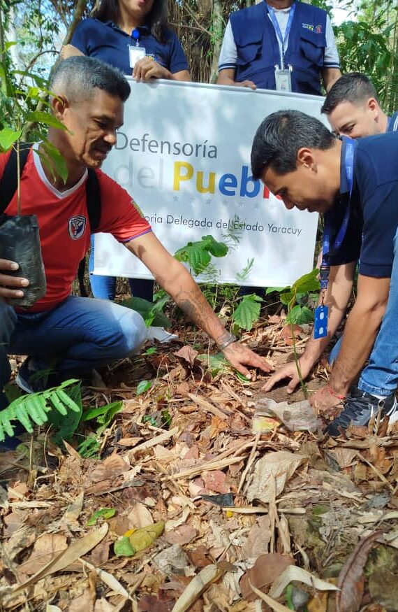 Sembraron varias especies en diversos puntos del parque