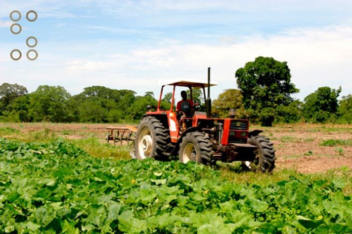 Fantinel indicó que la agricultura venezolana pasó de un 23% de soberanía alimentaria en 2018 a 59% de soberanía alimentaria al cierre del año 2024