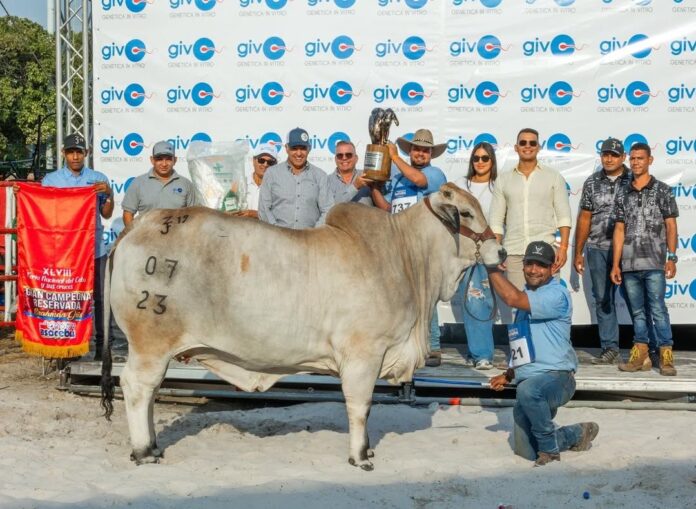 Ejemplares de Aroa destacaron con su alta genética