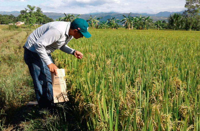 La federación estima que el sector cultivará alrededor de 120.000 hectáreas en toda la nación este año