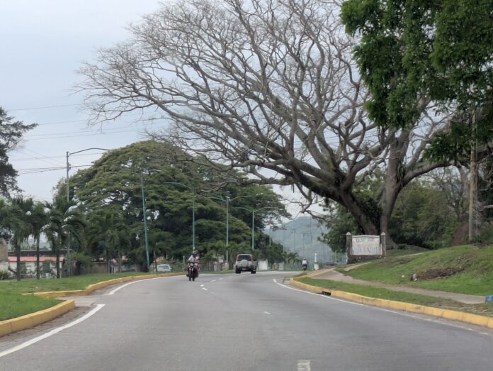 Los conductores hacen lo que mejor les parece, en la avenida se ve de todo un poco