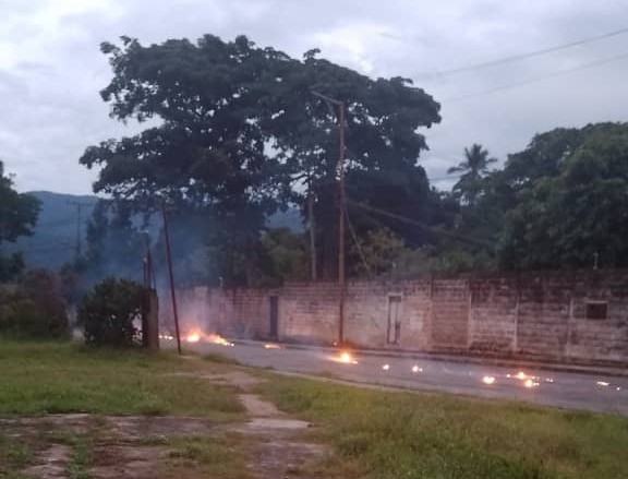 La caída del árbol provocó daños en un cable de alta tensión