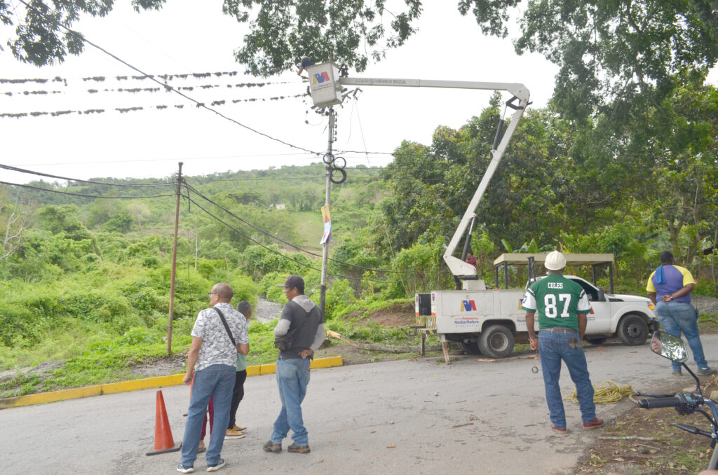 Las ramas de los árboles fueron podadas y se sustituyó el cable