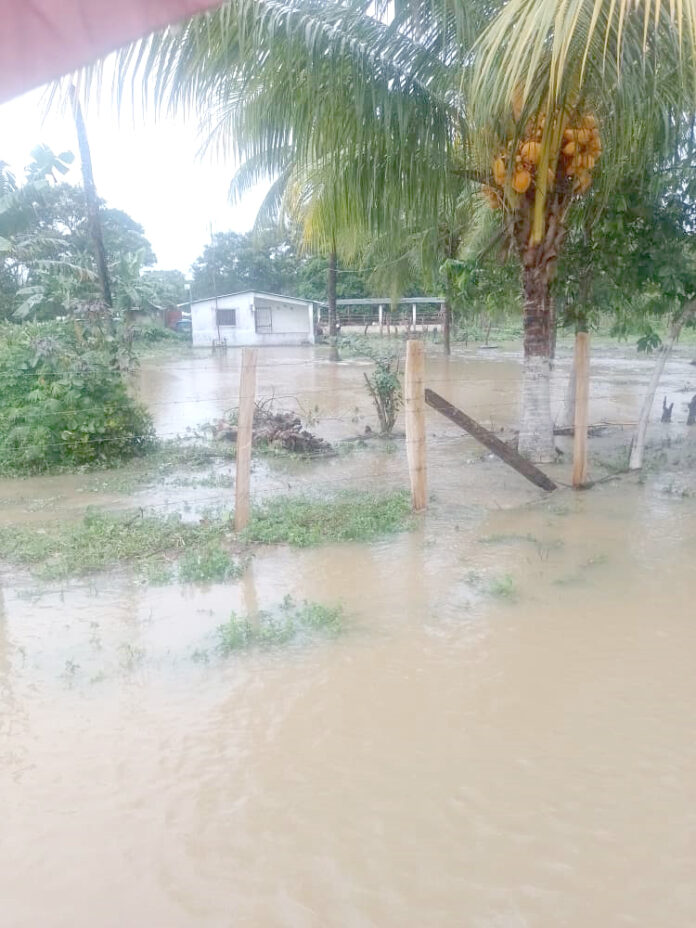 El río se desbordó en horas de la madrugada de este #22Jun