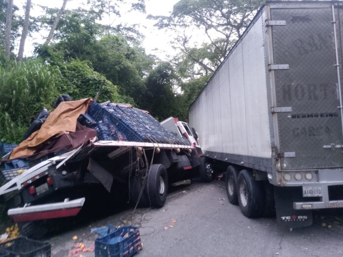 Una gandola se accidentó al ser impactada por la rama de un árbol, el conductor se bajó y fue impactado ṕor otro vehículo pesado
