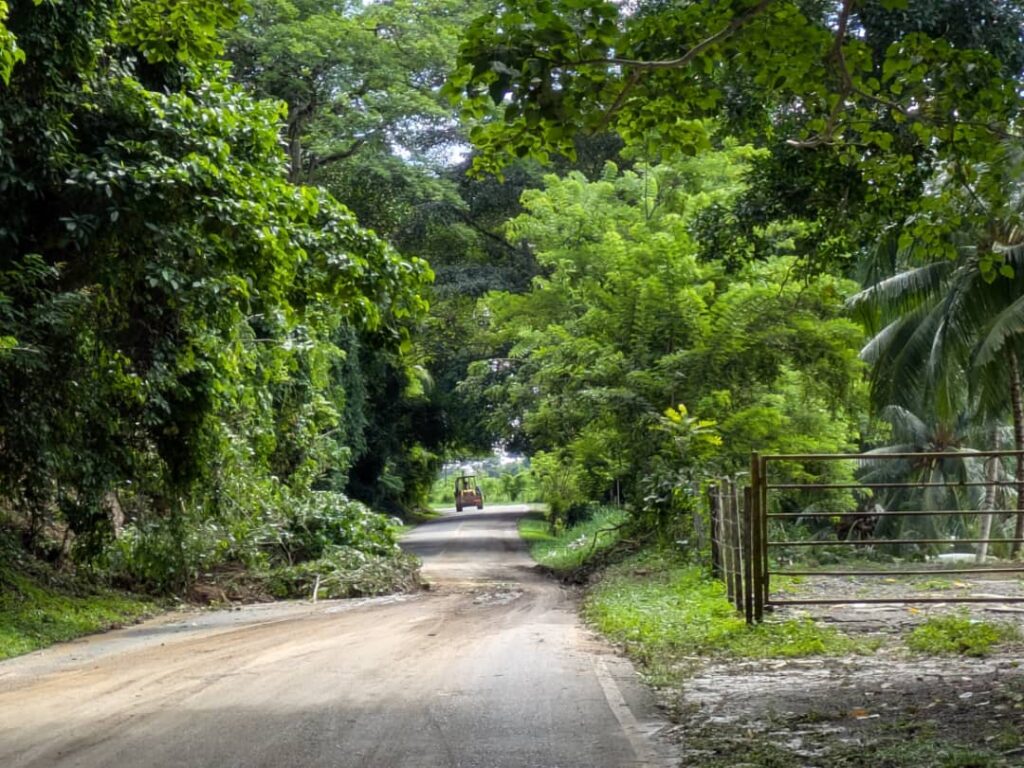 Despejan acceso en vía San Felipe-Yumare