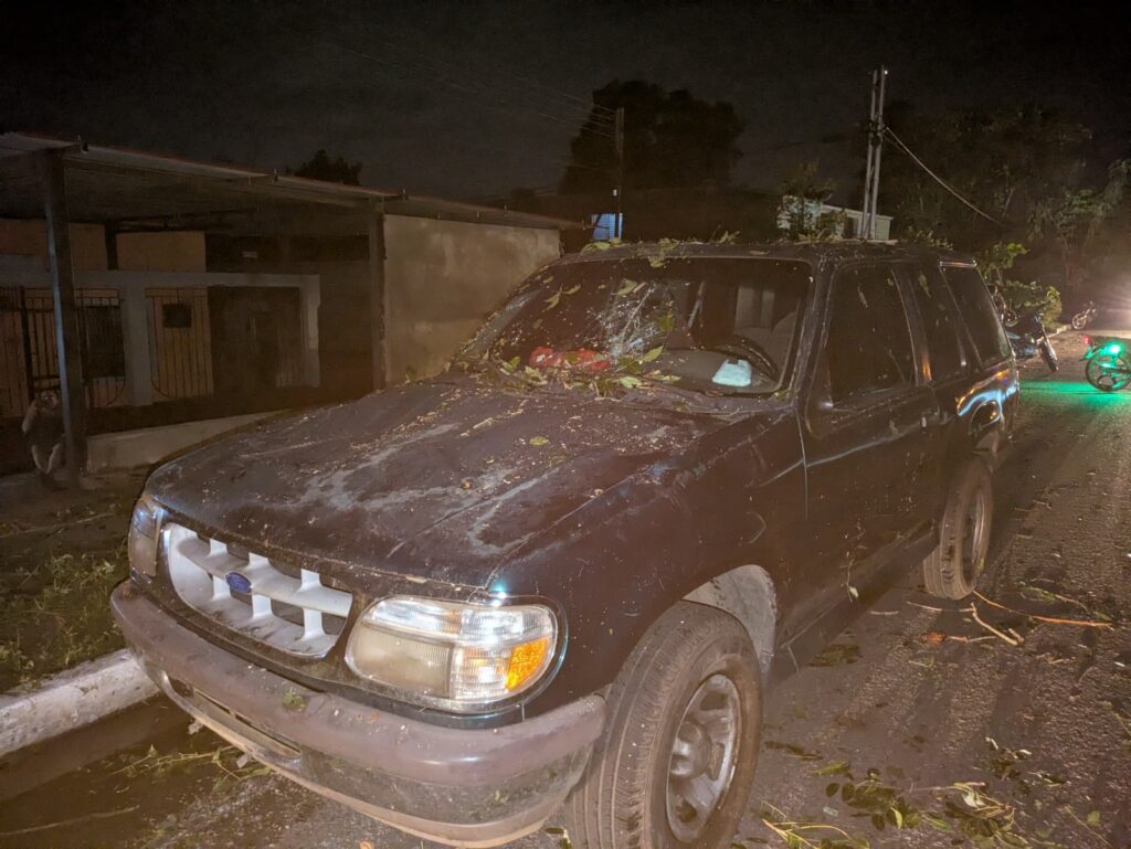 Una de las ramas cayó encima de una camioneta y partió el parabrisas