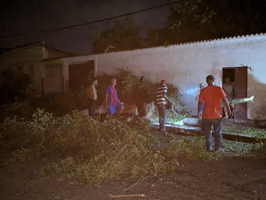 El fenómeno natural ocasionó caída de decenas de árboles y ramas en diferentes zonas