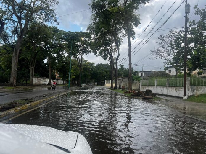 Afectados aseguran que el problema se repite en varias avenidas del área metropolitana