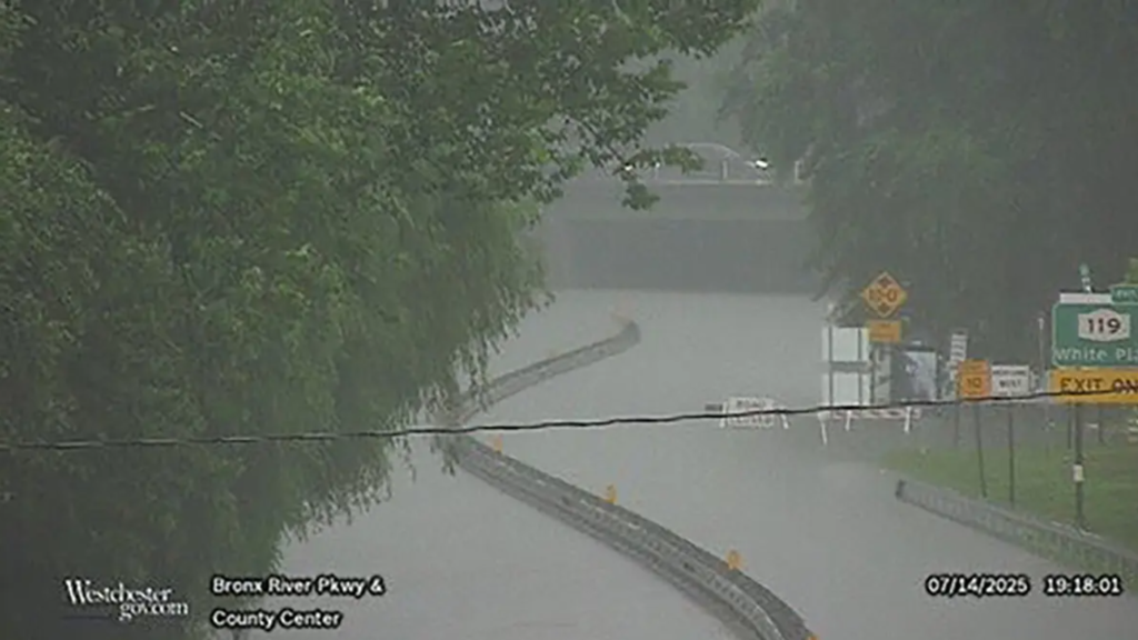 Las lluvias recientes, especialmente en partes del centro de Nueva York y Pensilvania durante el fin de semana, han causado una mayor saturación del suelo