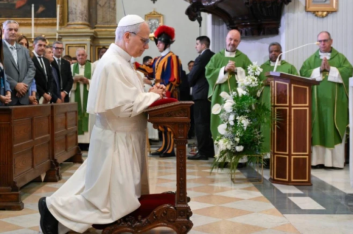 El pontífice ofició la misa de este domingo en Castel Gandolfo