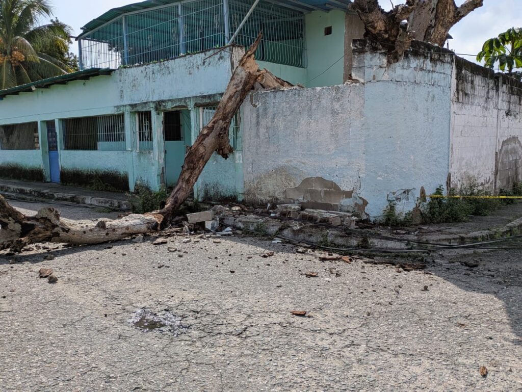 La comunidad varias veces había alertado sobre las malas condiciones del árbol