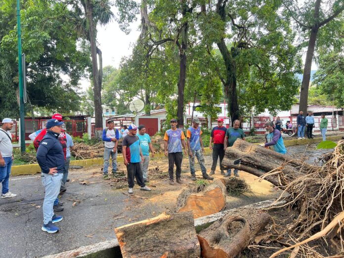 Los trabajos se ejecutaron con el apoyo de la Gobernación del estado y sus instituciones como Protección Civil y Yaracuy Bonito