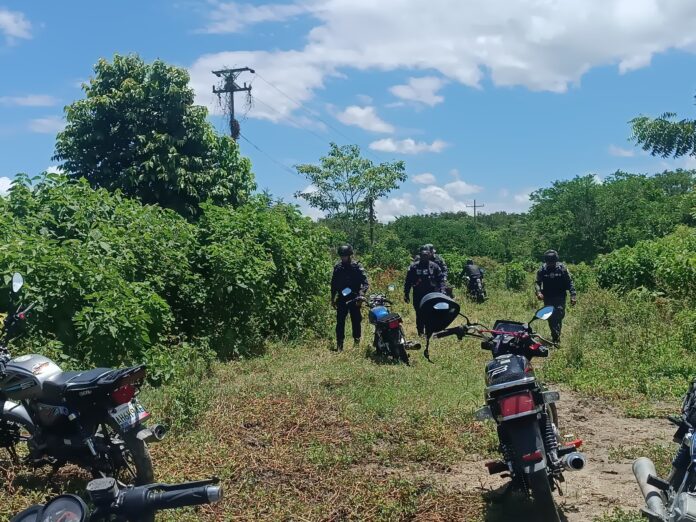 Una comisión mixta de la Policía regional localizó las reses en el sector El Salar