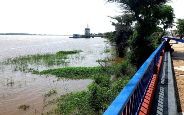 Entre los municipios afectados en el estado se encuentran Atures, Autana y Atabapo. Asimismo, en el estado Bolívar, en la zona de Puerto Nuevo también hay más de 50 familias afectadas