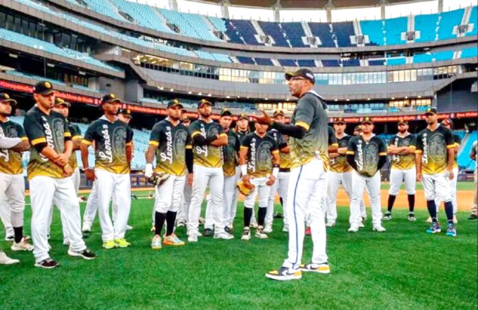 Los melenudos se preparan para la nueva temporada