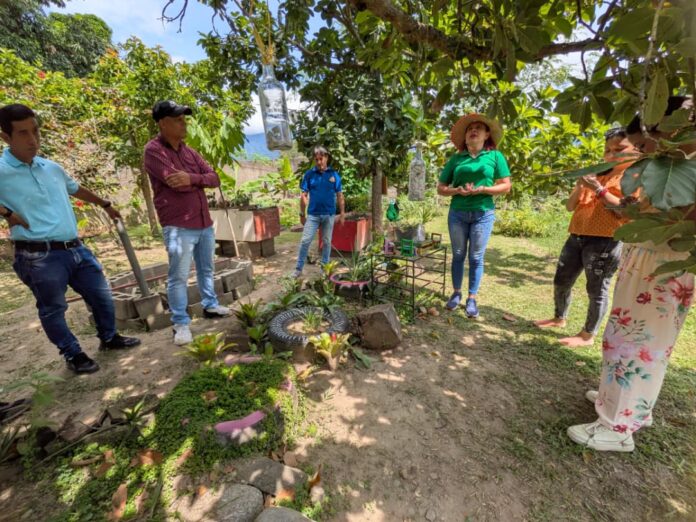 Dispone de más de 100 plantas, siembras de ciclo corto y largo.