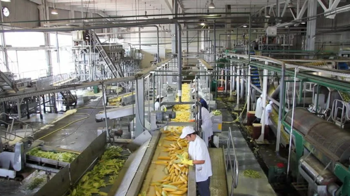 Desde Cavidea están optimistas en cuanto al crecimiento del sector alimentos en el país Foto referencial