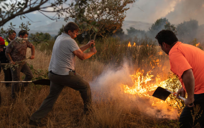 El gobierno se muestra en seguimiento ante los numerosos incendios