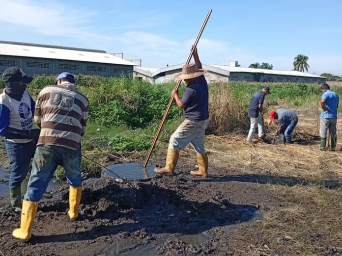 Cuadrillas de la Alcaldía y de Aguas de Yaracuy repararon el problema con la red de aguas servidas