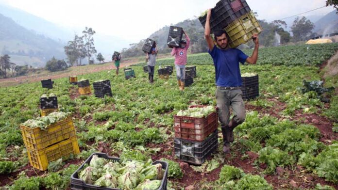 Destacan que la caída en el poder adquisitivo ha reducido significativamente la venta de productos perecederos