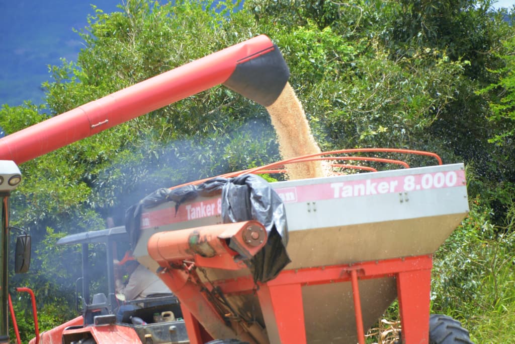 El trabajo en el campo con la metodología de regeneración agrícola eleva el nivel
productivo