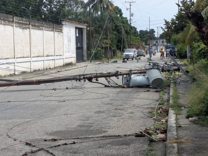 Postes eléctricos y ramas cayeron por las fuertes precipitaciones