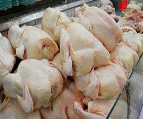 El presidente del congreso avícola destacó que la gente busca como una alternativa el consumo del pollo y el precio es importante El presidente del congreso avícola destacó que la gente busca como una alternativa el consumo del pollo y el precio es importante