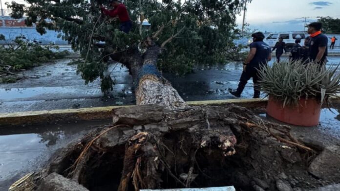 WhatsApp-Image-2025-10-30-at-1.12.03-PM-1068x601