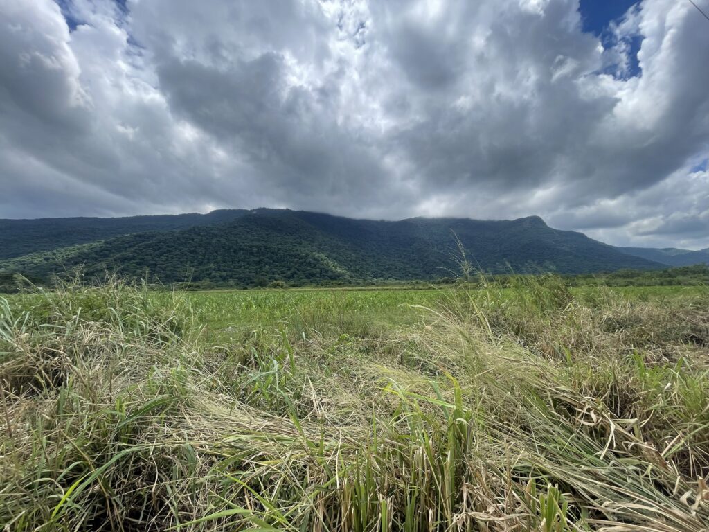 La imponente montaña de Sorte, denominada Monumento Natural Cerro María Lionza Foto Aliria Quevedo