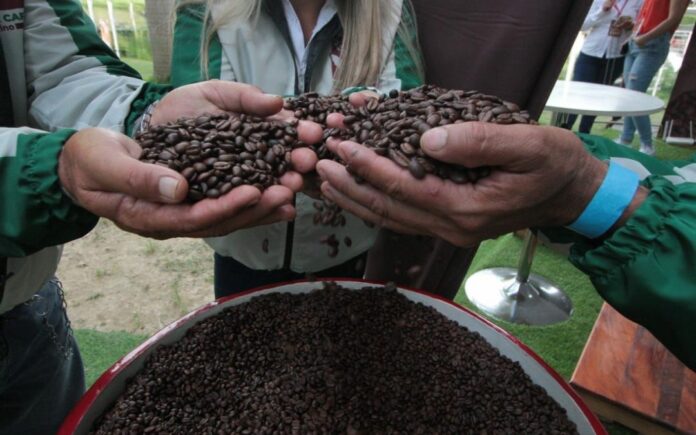 En el encuentro un kilo de café de especialidad podría alcanzar valores de hasta 900 dólares