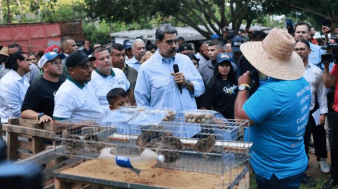 El Mandatario encabezó una jornada de trabajo desde la Comuna Rural Turística Parque Caiza en Caucagüita, estado Miranda