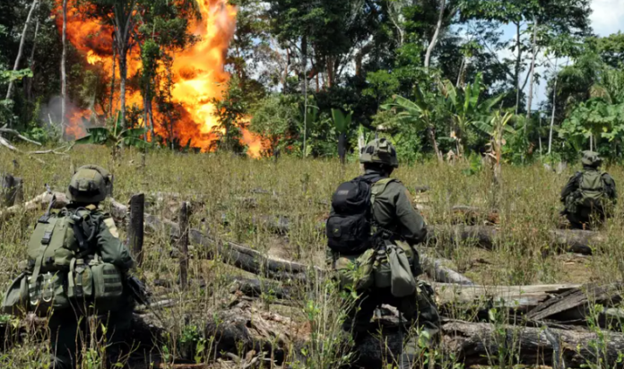 Unos 9.000 integrantes tiene el Clan del Golfo, heredero de las Autodefensas Unidas de Colombia