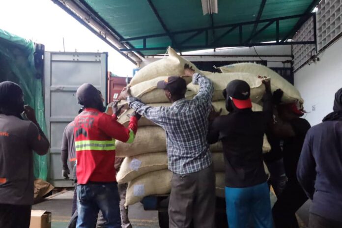 Gobierno concretó octavo despacho de cacao con destino a Rusia