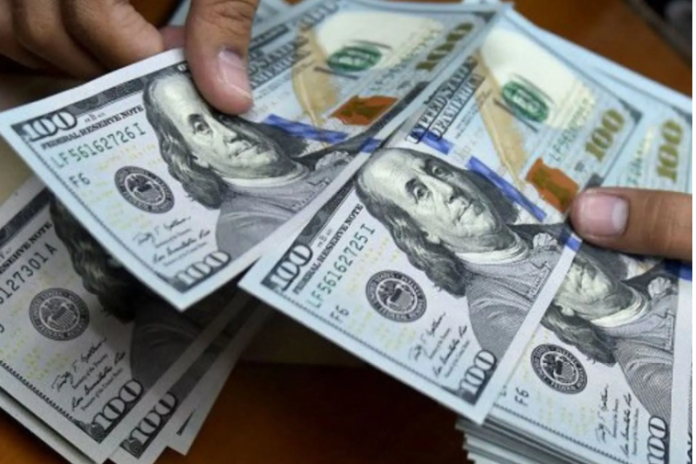 El sistema de subastas está diseñado básicamente para facilitar que empresas venezolanas con cuentas bancarias en el exterior reciban divisas para pagar a proveedores y otras acreencias